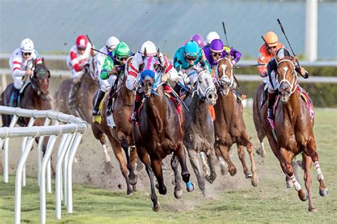 horse racing super tips|super horse tips.